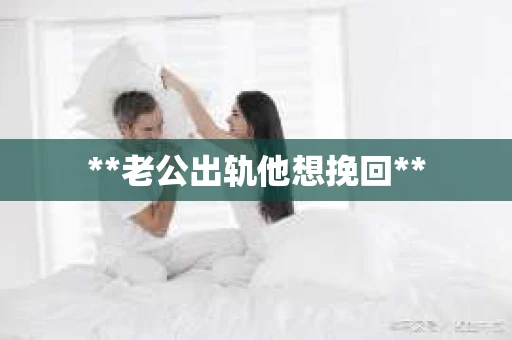 **老公出轨他想挽回**