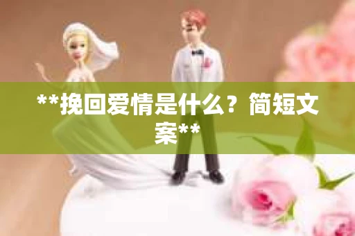 **挽回爱情是什么？简短文案**