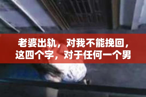 老婆出轨，对我不能挽回，这四个字，对于任何一个男人来说，都是一场无法言说的痛。我曾经以为，婚姻是爱情的港湾，是彼此依靠的避风港，然而，现实却给了我一记响亮的耳光。今天，我想和大家聊聊这个沉重的话题，希望能给那些正在经历或即将经历类似痛苦的人一些安慰和启示。