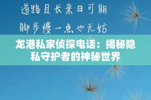 龙港私家侦探电话：揭秘隐私守护者的神秘世界