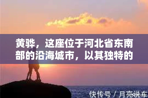 黄骅，这座位于河北省东南部的沿海城市，以其独特的地理位置和丰富的历史文化而闻名。然而，在这座城市中，还有一群人，他们以另一种方式默默守护着社会的公平与正义——私家侦探。今天，我们就来聊聊黄骅的私家侦探，看看他们是如何在这个城市中发挥作用的。