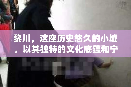黎川，这座历史悠久的小城，以其独特的文化底蕴和宁静的生活节奏吸引着无数游客。然而，在这样一个看似平静的城市里，你是否会好奇，有没有私家侦探机构的存在呢？今天，就让我带你一探究竟。