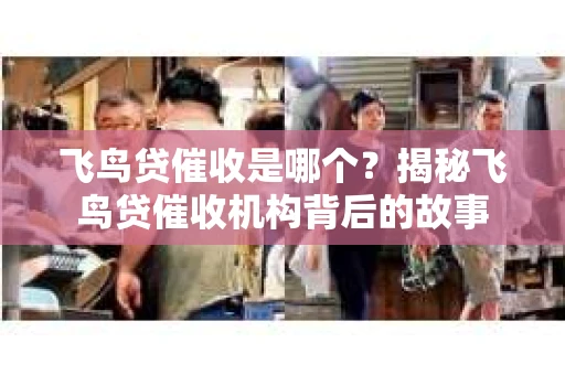 飞鸟贷催收是哪个？揭秘飞鸟贷催收机构背后的故事
