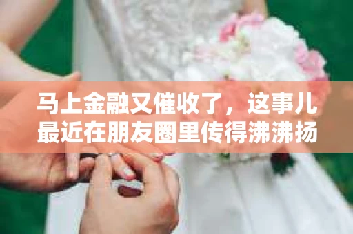 马上金融又催收了，这事儿最近在朋友圈里传得沸沸扬扬。说实话，我也有点好奇，这马上金融到底是怎么回事？催收又是怎么一回事？今天，我就来跟大家聊聊这个话题。