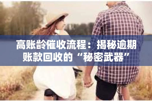 高账龄催收流程：揭秘逾期账款回收的“秘密武器”