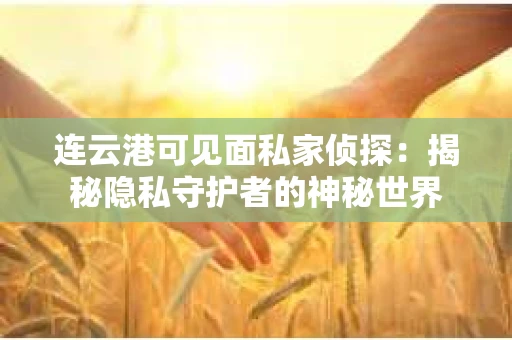 连云港可见面私家侦探：揭秘隐私守护者的神秘世界
