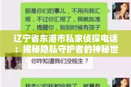 辽宁省东港市私家侦探电话：揭秘隐私守护者的神秘世界
