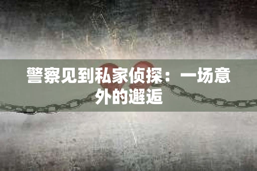 警察见到私家侦探：一场意外的邂逅