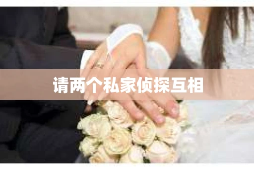 请两个私家侦探互相