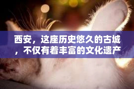 西安，这座历史悠久的古城，不仅有着丰富的文化遗产，也有着现代社会的各种需求。今天，我们就来聊聊一个比较特别的话题——西安有没有私家侦探。