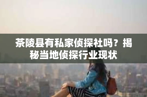 茶陵县有私家侦探社吗？揭秘当地侦探行业现状