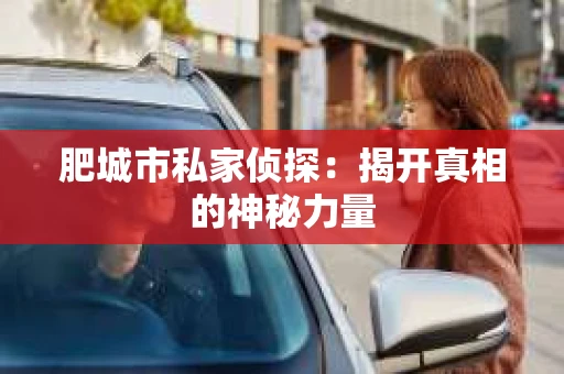肥城市私家侦探：揭开真相的神秘力量