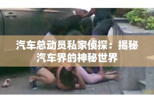汽车总动员私家侦探：揭秘汽车界的神秘世界
