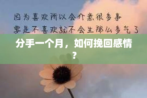 分手一个月，如何挽回感情？