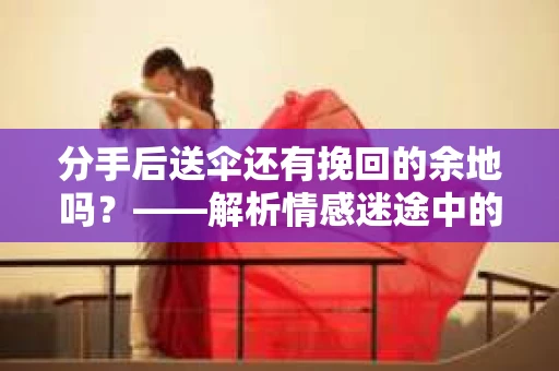 分手后送伞还有挽回的余地吗？——解析情感迷途中的决策