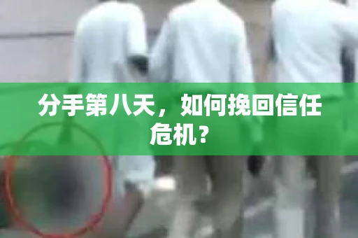 分手第八天，如何挽回信任危机？
