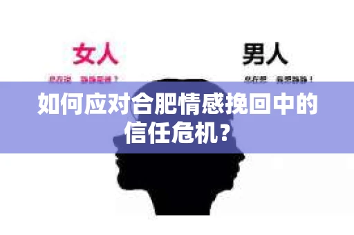 如何应对合肥情感挽回中的信任危机？