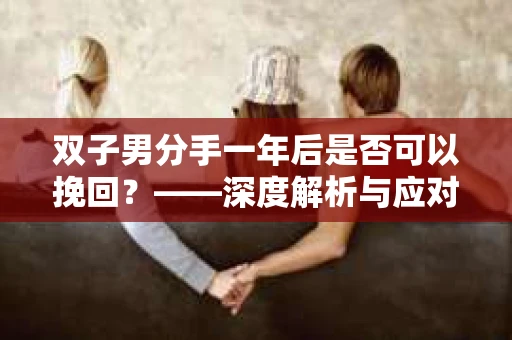 双子男分手一年后是否可以挽回？——深度解析与应对策略